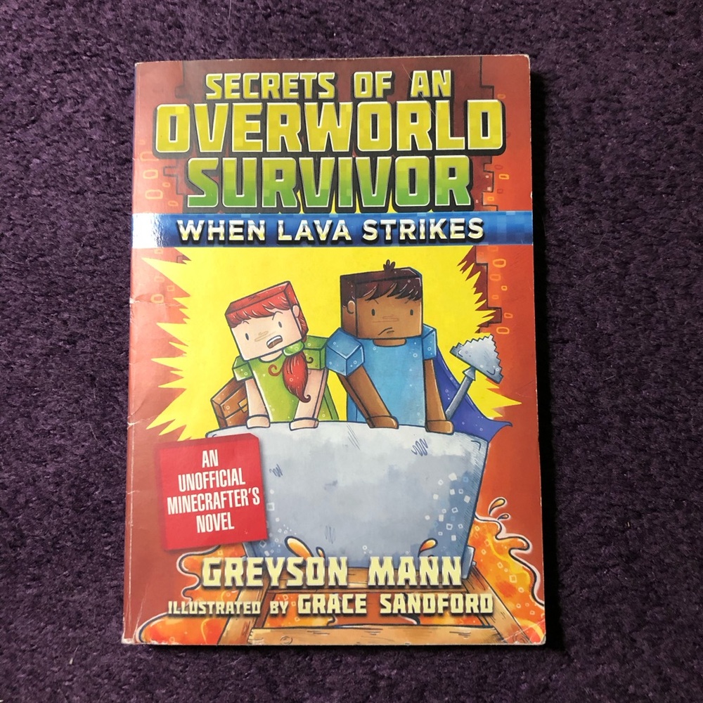 Minecraft Paperback Book Lot - Picture 4 of 14